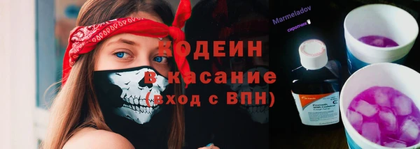 хмурый Алзамай