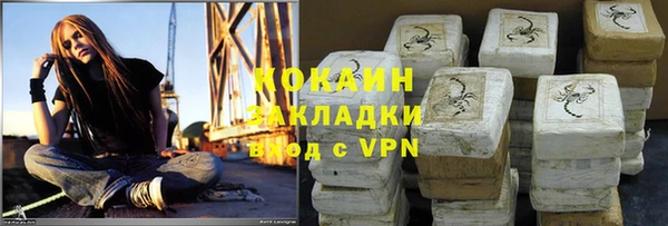хмурый Алзамай